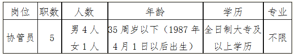 招聘崗位、職數及條件 
