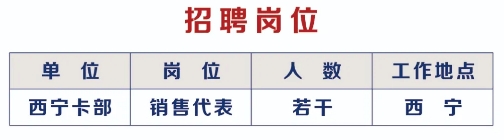 2025年浦發(fā)銀行西寧分行信用卡部銷(xiāo)售代表招聘啟事（5.26）
